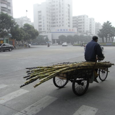 man on bike carrying bamboo