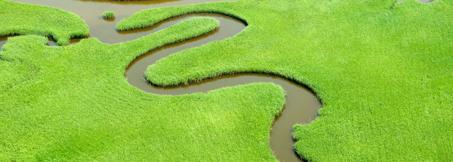 Aerial view of a river and green land