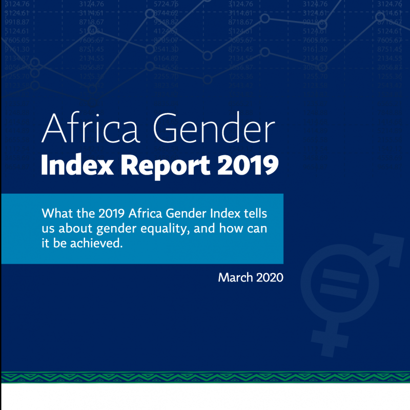 Africa Gender Index Report 2019
