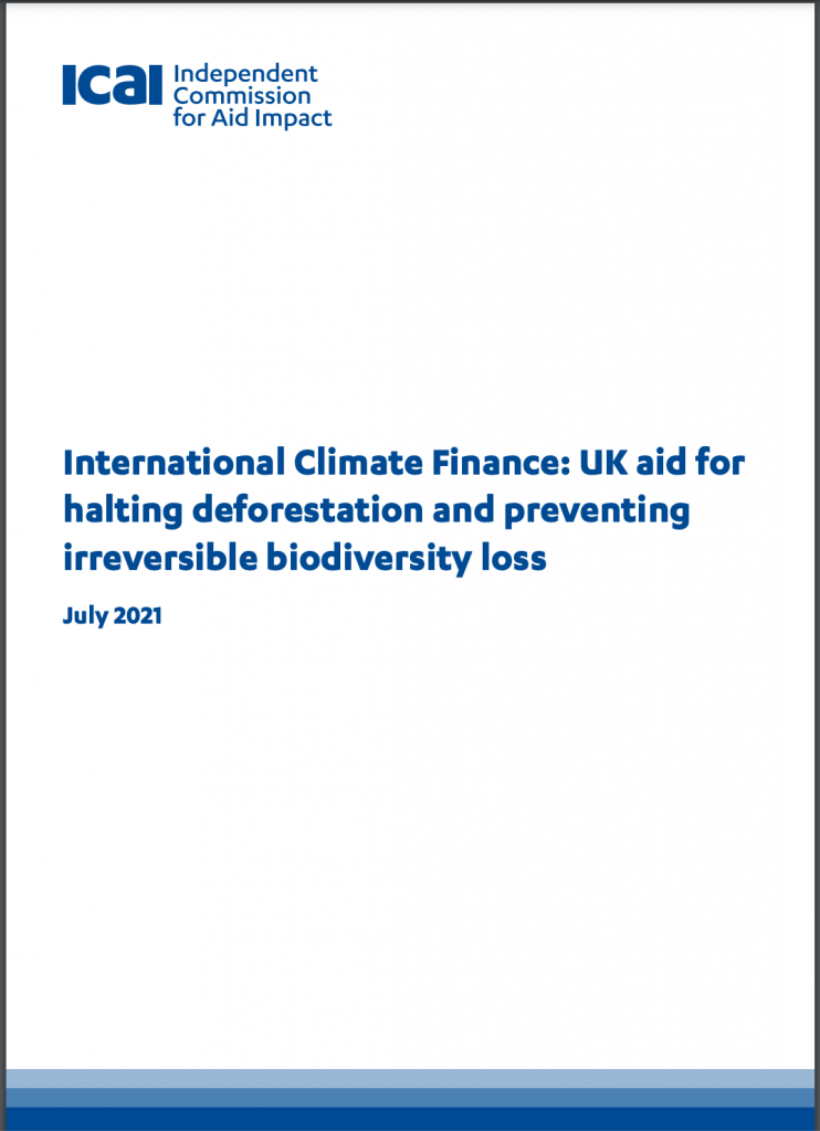 Front cover of ICAI report on deforestation and biodiversity