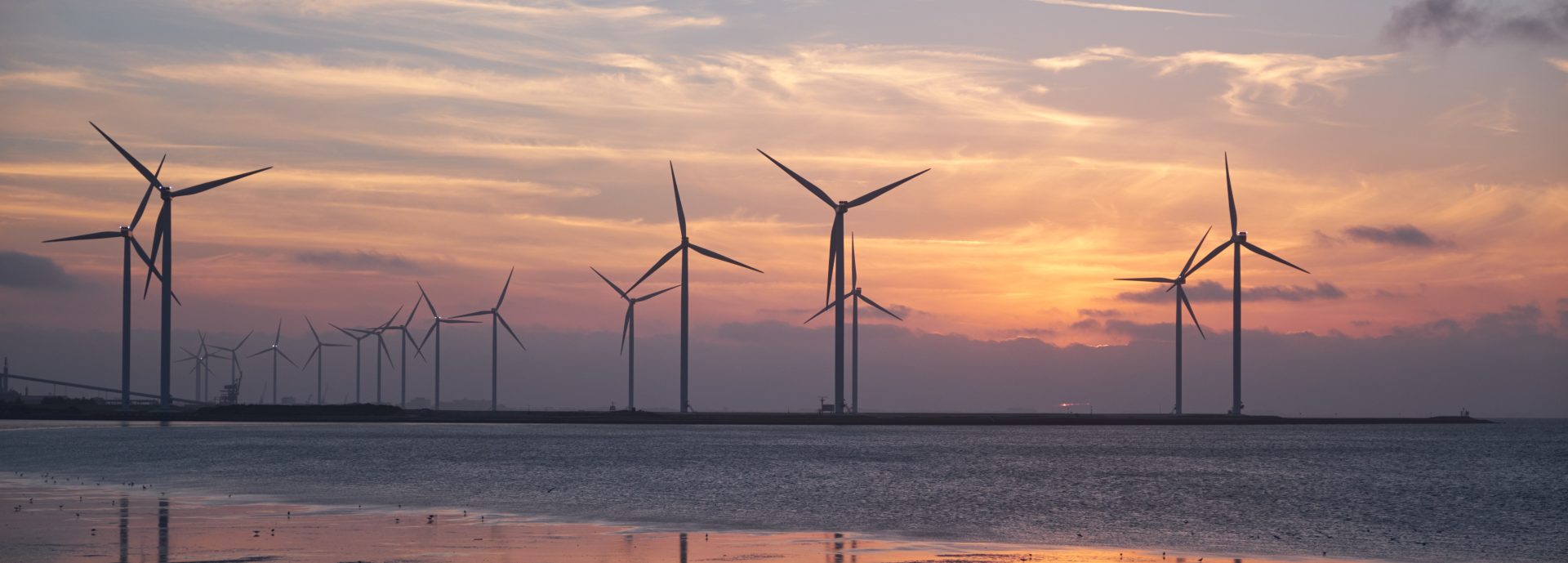 Wind farm on the coast