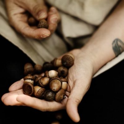 Acorns in a person's hands